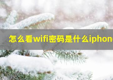 怎么看wifi密码是什么iphone