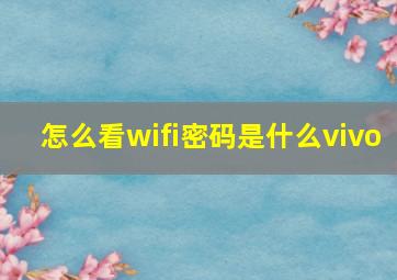 怎么看wifi密码是什么vivo