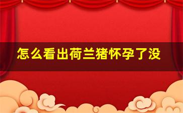 怎么看出荷兰猪怀孕了没