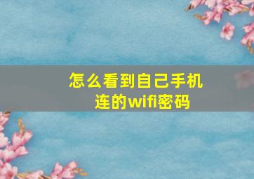 怎么看到自己手机连的wifi密码