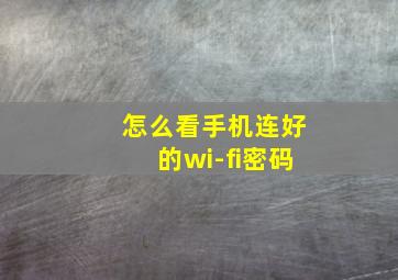 怎么看手机连好的wi-fi密码