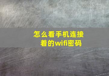 怎么看手机连接着的wifi密码