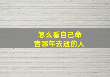 怎么看自己命宫哪年去逝的人