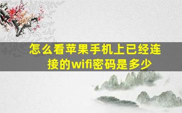 怎么看苹果手机上已经连接的wifi密码是多少