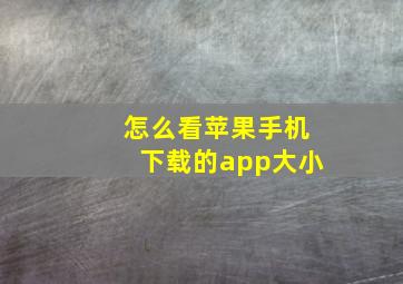 怎么看苹果手机下载的app大小