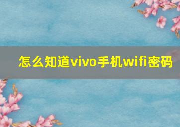 怎么知道vivo手机wifi密码