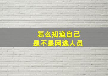 怎么知道自己是不是网逃人员