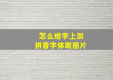 怎么给字上加拼音字体呢图片