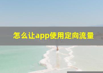 怎么让app使用定向流量