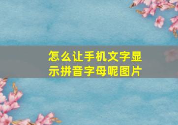 怎么让手机文字显示拼音字母呢图片