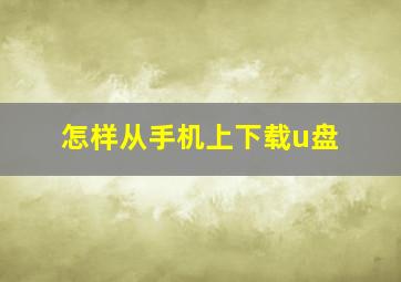 怎样从手机上下载u盘