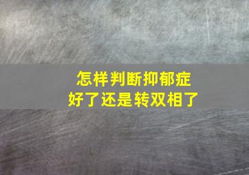 怎样判断抑郁症好了还是转双相了