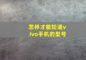 怎样才能知道vivo手机的型号