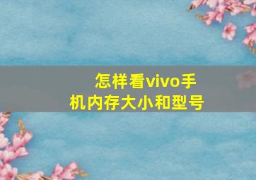 怎样看vivo手机内存大小和型号