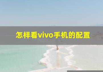 怎样看vivo手机的配置