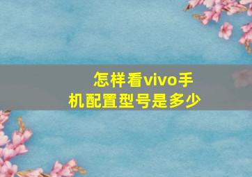 怎样看vivo手机配置型号是多少