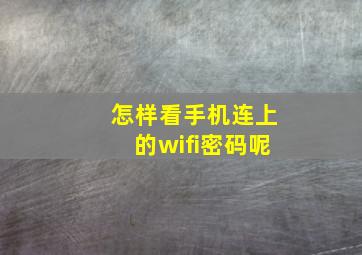 怎样看手机连上的wifi密码呢