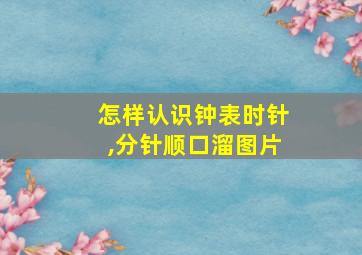 怎样认识钟表时针,分针顺口溜图片