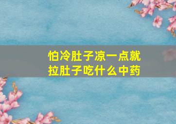 怕冷肚子凉一点就拉肚子吃什么中药