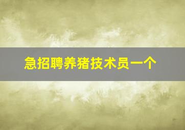 急招聘养猪技术员一个