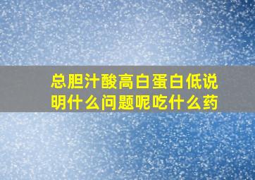 总胆汁酸高白蛋白低说明什么问题呢吃什么药