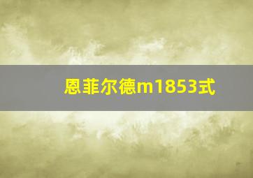 恩菲尔德m1853式