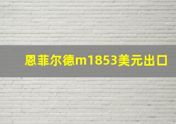 恩菲尔德m1853美元出口