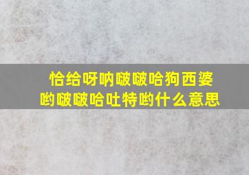 恰给呀呐啵啵哈狗西婆哟啵啵哈吐特哟什么意思