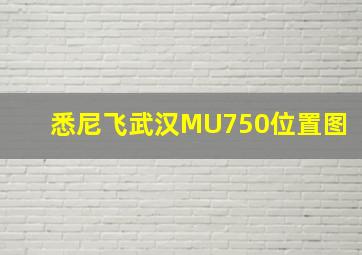 悉尼飞武汉MU750位置图