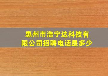 惠州市浩宁达科技有限公司招聘电话是多少