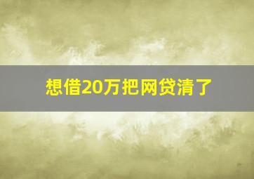 想借20万把网贷清了