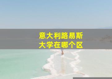 意大利路易斯大学在哪个区