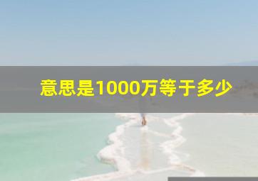 意思是1000万等于多少