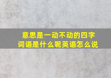 意思是一动不动的四字词语是什么呢英语怎么说