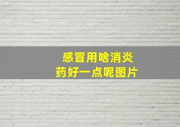 感冒用啥消炎药好一点呢图片