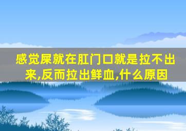 感觉屎就在肛门口就是拉不出来,反而拉出鲜血,什么原因