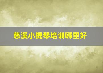 慈溪小提琴培训哪里好