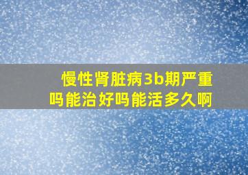 慢性肾脏病3b期严重吗能治好吗能活多久啊