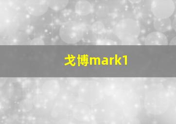 戈博mark1