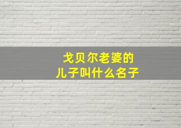 戈贝尔老婆的儿子叫什么名子