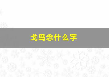 戈鸟念什么字