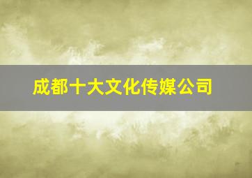 成都十大文化传媒公司