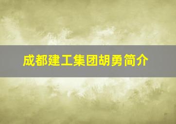 成都建工集团胡勇简介