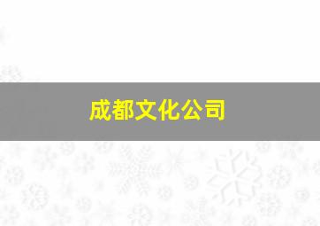 成都文化公司