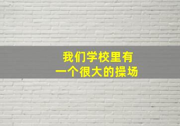 我们学校里有一个很大的操场