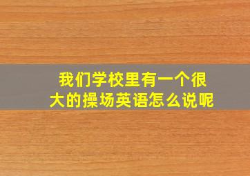 我们学校里有一个很大的操场英语怎么说呢