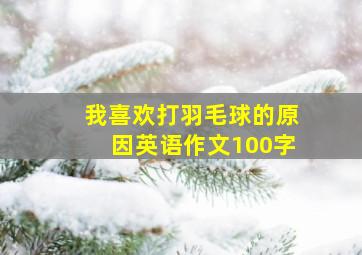 我喜欢打羽毛球的原因英语作文100字