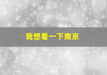 我想看一下南京