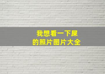 我想看一下屎的照片图片大全