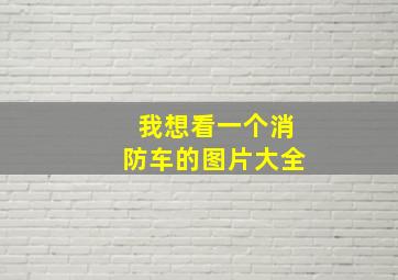 我想看一个消防车的图片大全